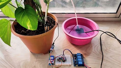 plant soil moisture meter and automatic controller circuit|plant watering circuit.